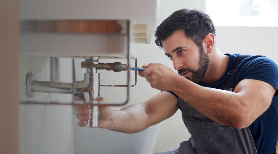 Trap Repair/Replacement in Farina, IL